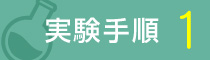 実験手順 1