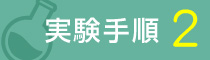 実験手順 2